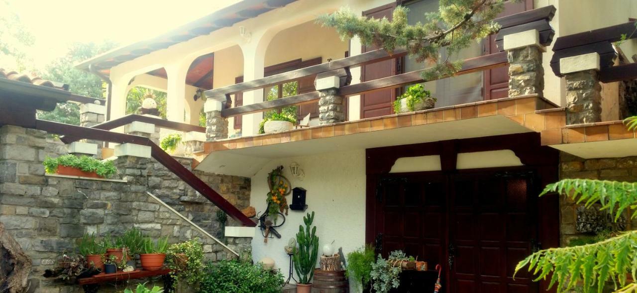 Apartment Slavi Vipava Exterior photo